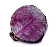 Purple cabbage