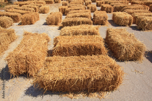 Photo: seat on straw seat on straw