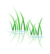 Vector Icon Leaf
