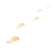 vector icon foot print