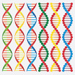 Molecules of DNA.