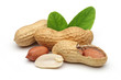peanuts and leaves