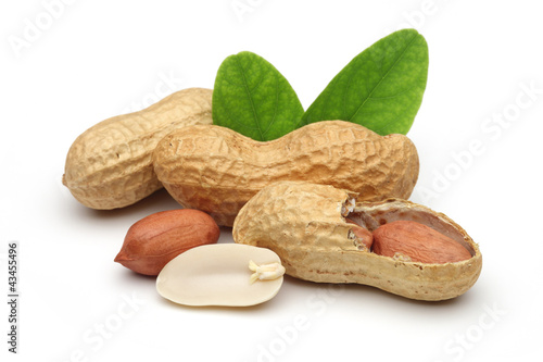 Photo: peanuts and leaves peanuts and leaves