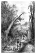 Trad. African Scene : Entry of the Village