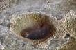 Ruhender Geysir