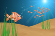 04 Fisch mit Hintergrund