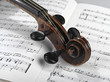 violin head