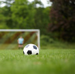 Foto: Symbolfoto Fußball auf Rasen Symbolfoto Fußball auf Rasen