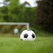 Symbolfoto Fußball auf Rasen