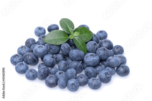Photo: Bilberries Bilberries