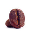 Coffee Bean
