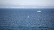 Adriatic sea