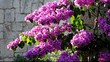 Flowering