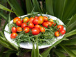 Pomodori in giardino
