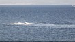 Adriatic sea