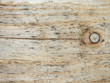 holz