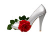 Silver women's heel shoes with red rose with clipping path.