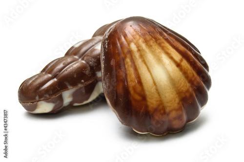 Photo: A chocolate periwinkle and mollusk A chocolate periwinkle and mollusk