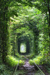 Tunnel of love