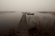 Photo: Foggy November morning in Sweden Foggy November morning in Sweden