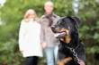 Senior couple walking dog