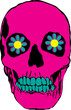 pink psychedelic skull illustration