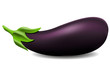 eggplan illustration