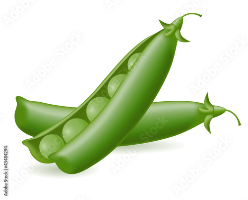 Illustration: peas illustration peas illustration