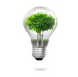 light bulb