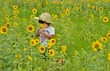 ひまわりと遊ぶ少女　A