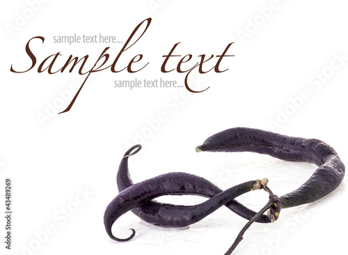 Photo: Black beans isolated on white background Black beans isolated on white background