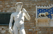 David di Michelangelo in Piazza della Signoria, Firenze, Italia