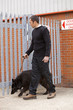 Inspecting fences
