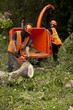 Tree fellers