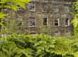 the old derelict building