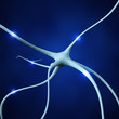 Illustration: Neuron Neuron