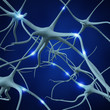 Neuron