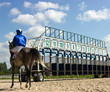 Start gates for horse races.