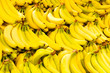 Bananas close up
