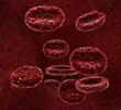 Illustration: Blood cells close up Blood cells close up