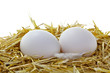 Eier im Nest