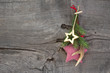 Weihnachtlicher Holzhintergrund