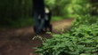 Father  with child in stroller walks in park, defocused, HD