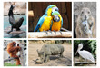 zoo
