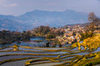 Photo: Hani Rice Terraces Hani Rice Terraces