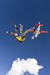 Skydiving photo
