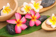 Plumeria flowers