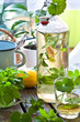 Kräuter-Limonade - mit Giersch und Gundermann
