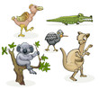 Vector: australian animals isolated on white australian animals isolated on white