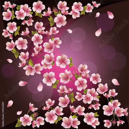 Vector: Background with sakura - Japanese cherry tree, vector Background with sakura - Japanese cherry tree, vector